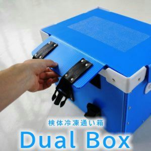 Dual Box